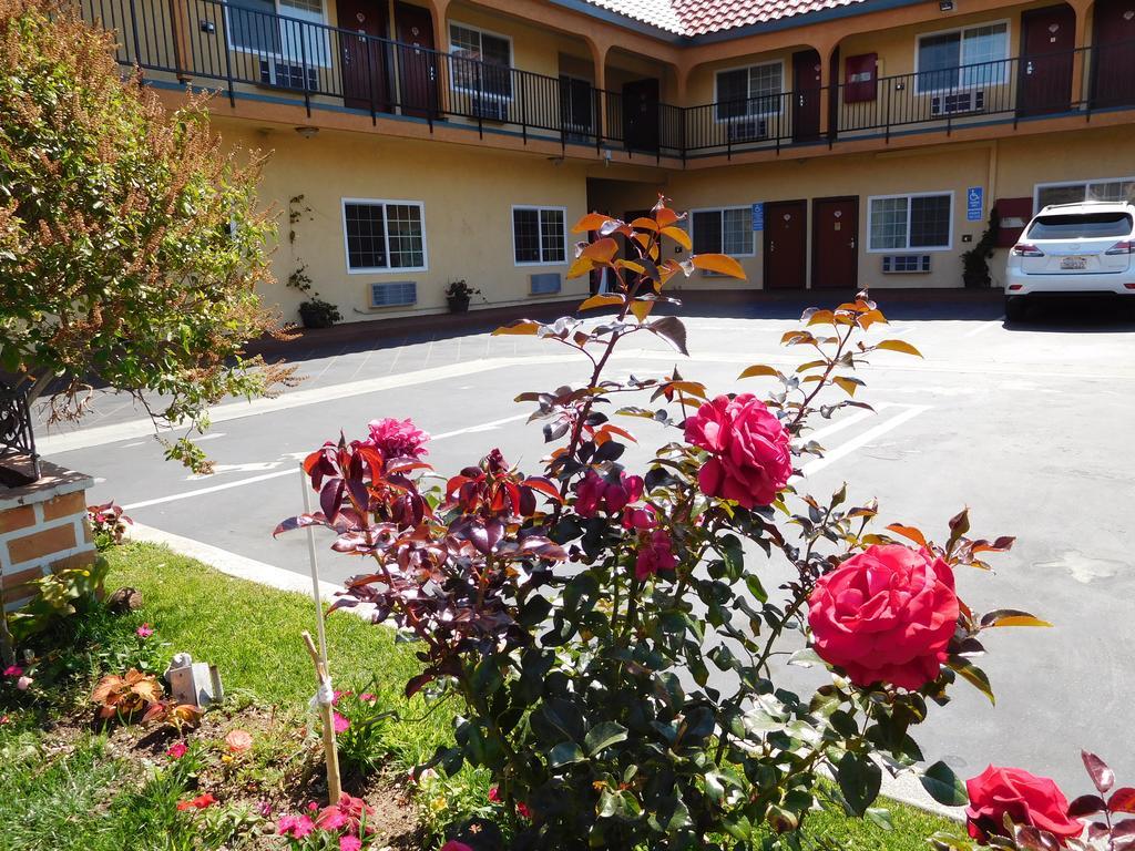 Diamond Inn Inglewood Kültér fotó